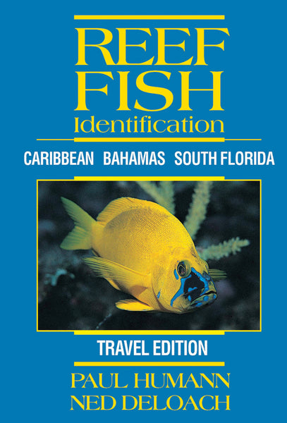 Reef Fish Identification Travel Edition - Puerto Rico, Florida, Caribbean, Bahamas