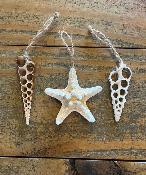Starfish and Shell Ornaments