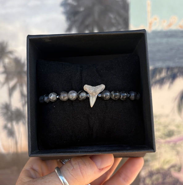 Labradorite and Fossilized Shark Tooth Bracelet