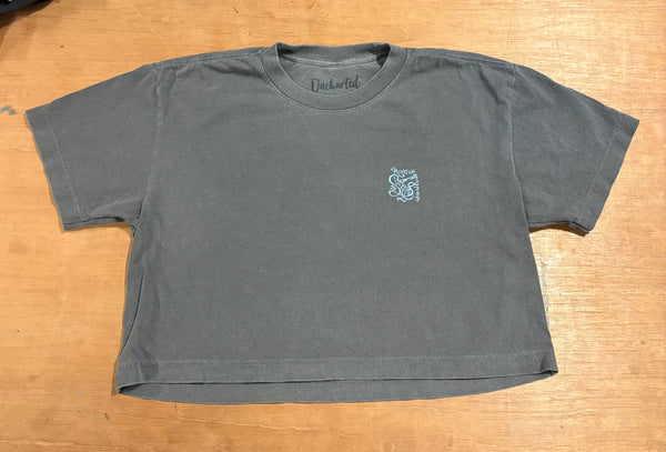 Cropped Surf Rincon Tee