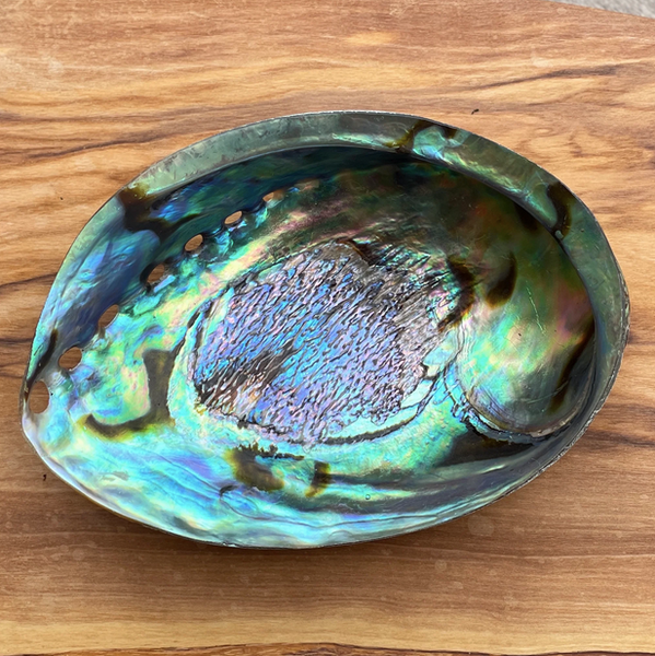 Abalone Bowl