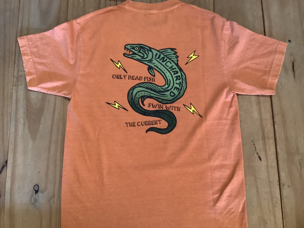 Electric Eel