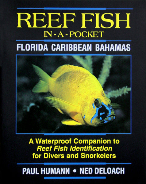 Reef Fish Waterproof Mini Book - Puerto Rico, Florida, Caribbean and Bahamas