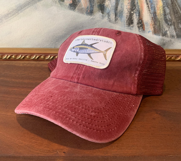 Uncharted Fish Series Dad Hat
