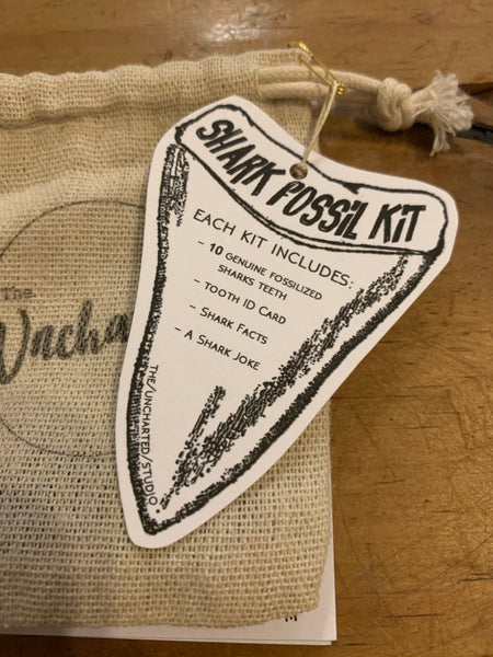Uncharted Shark Tooth Fossil Kits