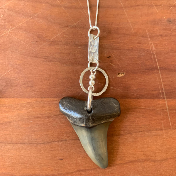 Fossilized Shark Tooth Necklace