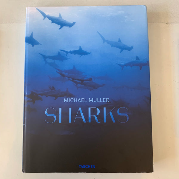 Sharks by Michael Muller