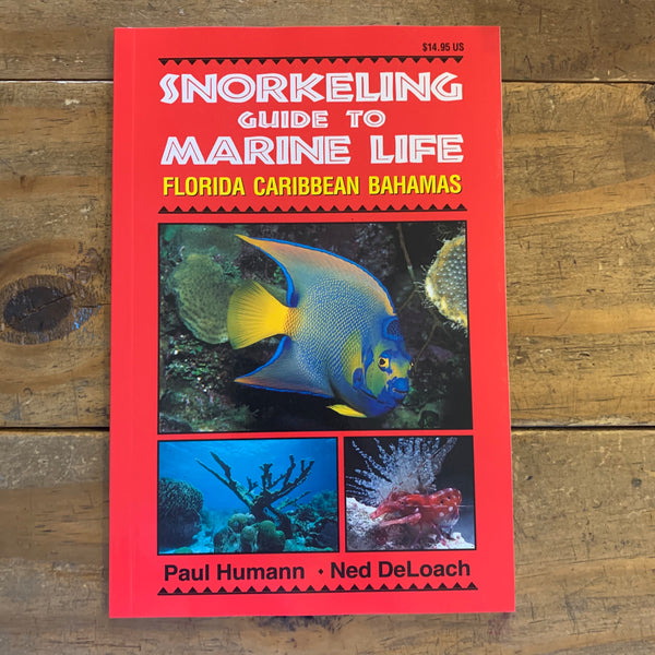 Snorkeling Guide To Marine Life - Florida, Caribbean, Bahamas