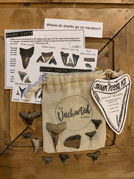 Uncharted Shark Tooth Fossil Kits