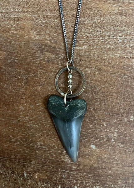 Fossilized Shark Tooth Necklace