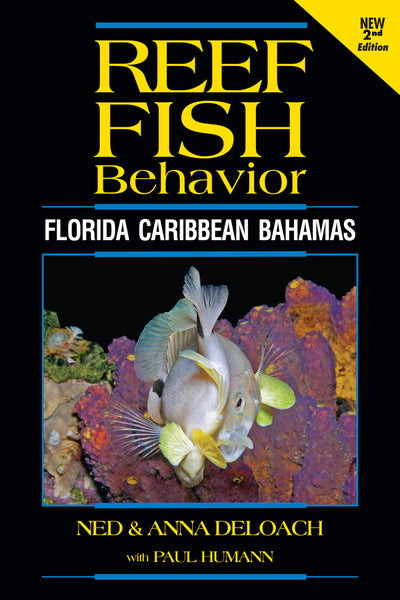 Reef Fish Behavior - Florida Caribbean Bahamas